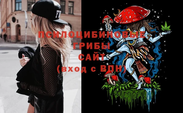 круглые Абаза