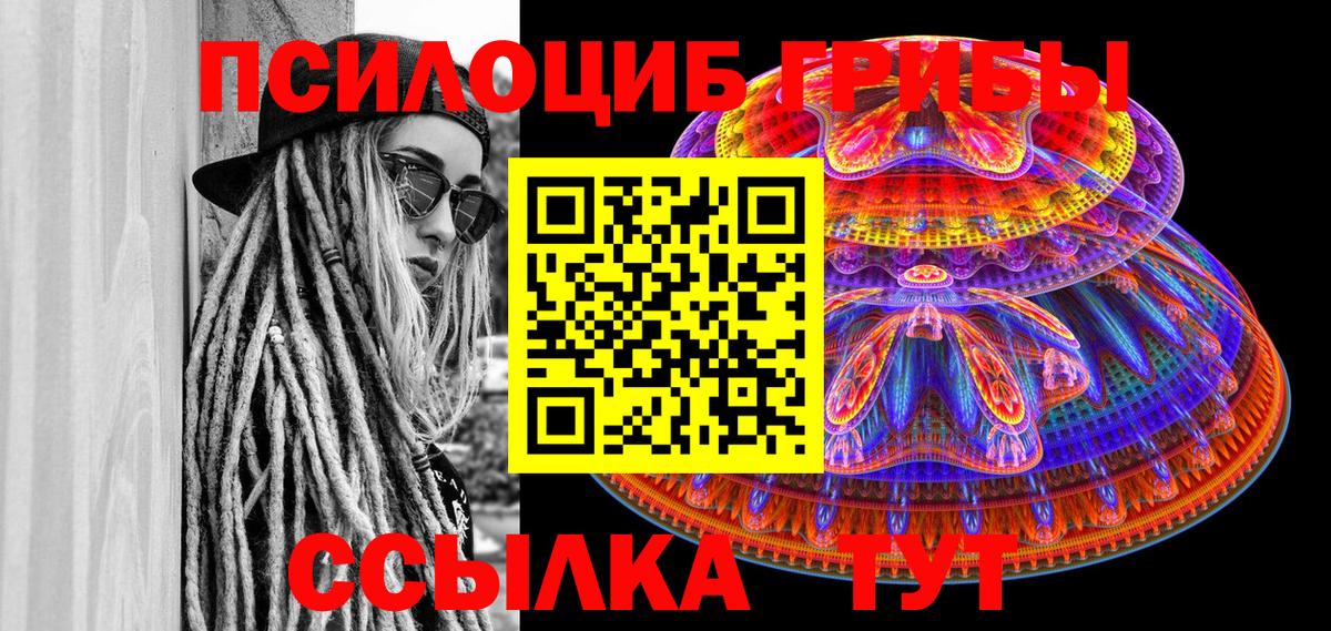 Псилоцибиновые грибы Psilocybe  Вход с VPN  Янаул 